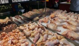 速冻鸡腿爆料视频,揭秘网红美食背后的真相