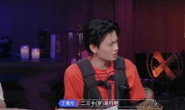 今日爆料丁禹兮是哪期的,揭秘神秘哪期节目